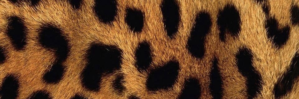 byshadile's profile banner image