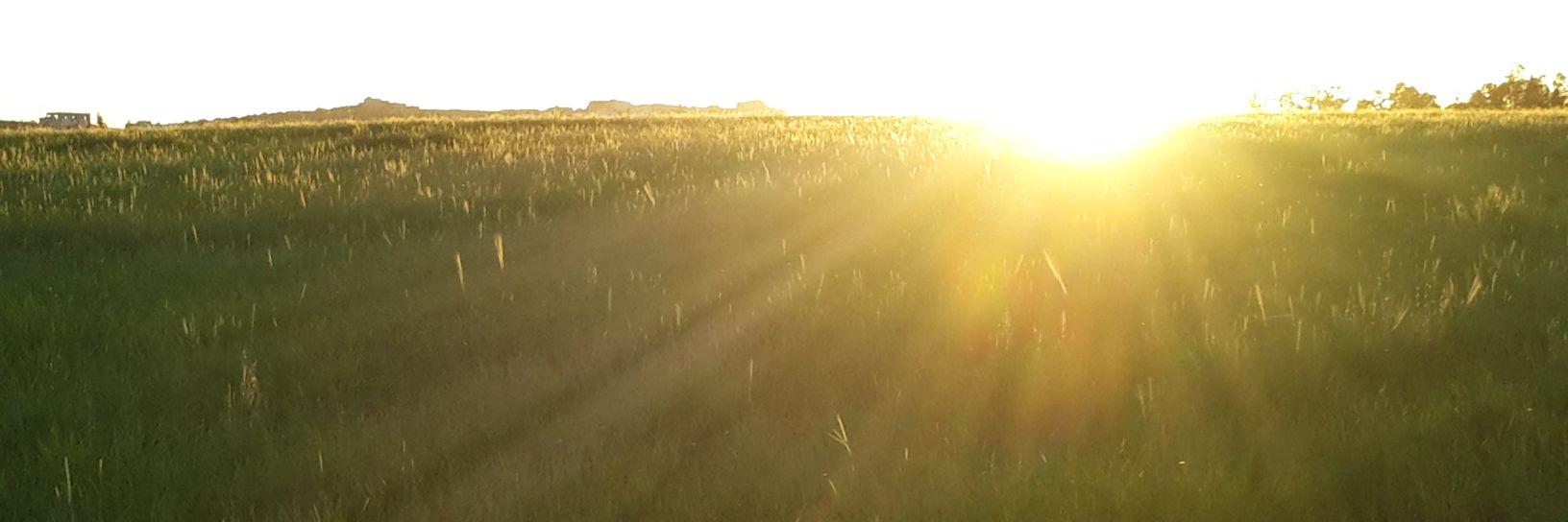 Jehad AlSamhori banner