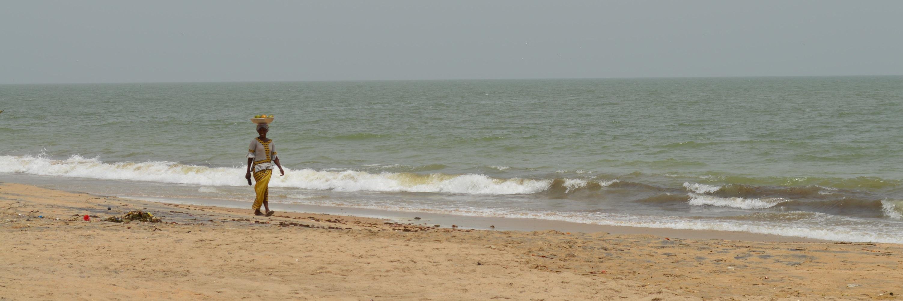 Catherine Piccini banner