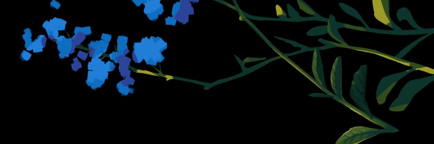 vanasaliu's profile banner image