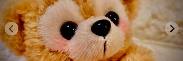 ShihoMaile's profile banner image
