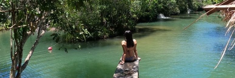 SandraBarua's profile banner image
