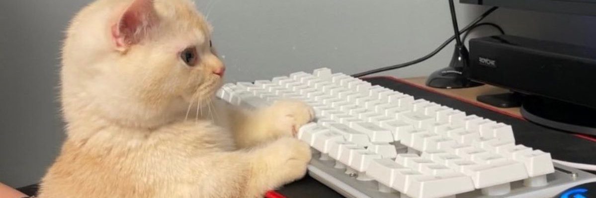 spotspot85's profile banner image