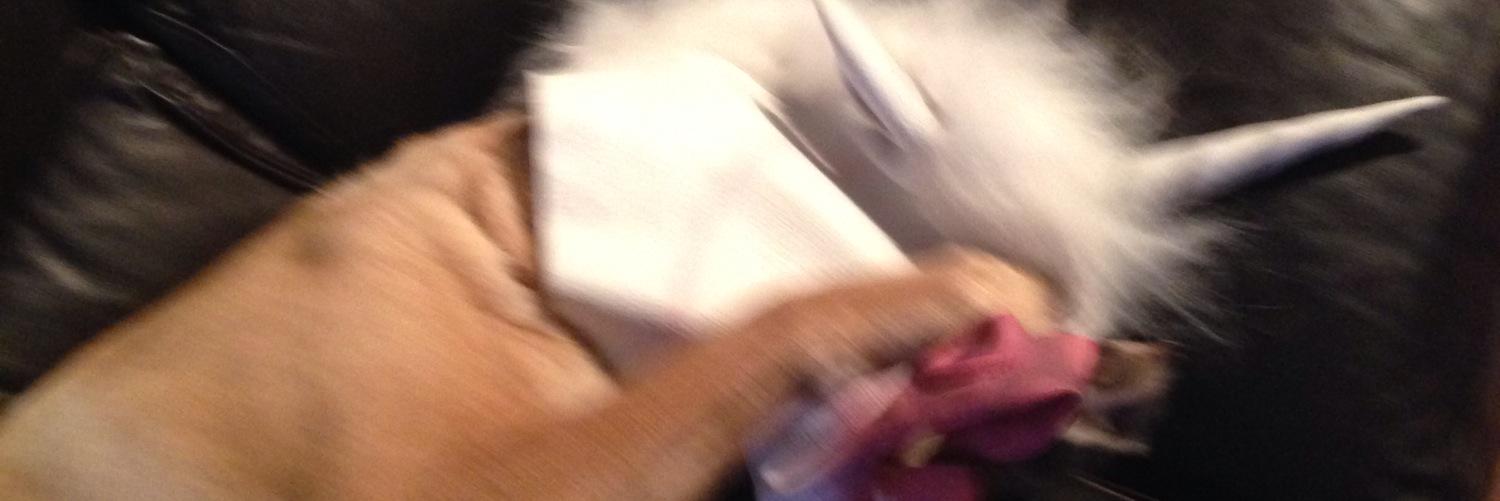 kelseystinker's profile banner image