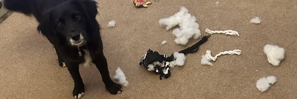 oblong35 Profile Banner