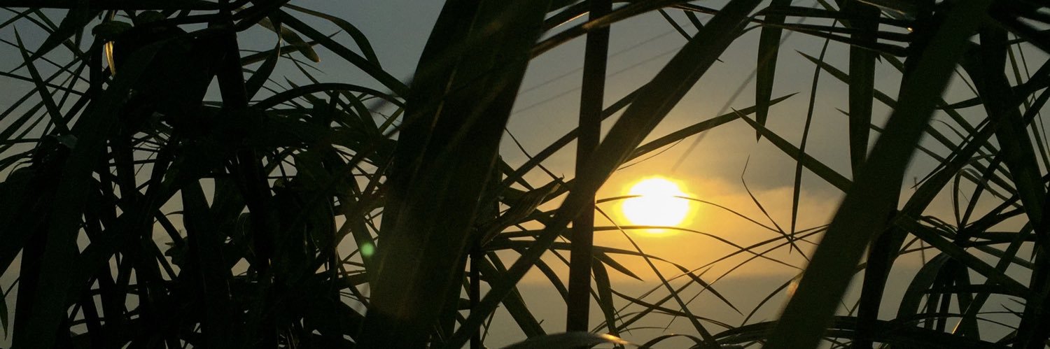 Raph Trinidad banner