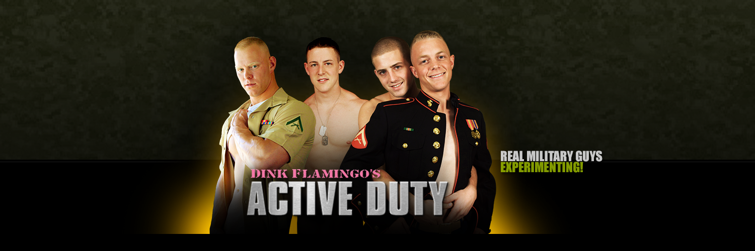 Dink Flamingo banner