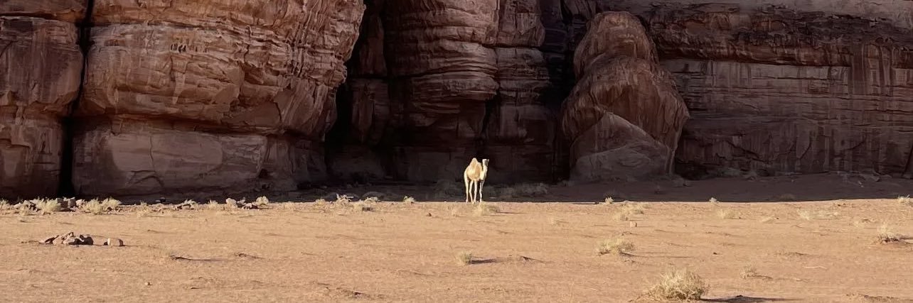 Sarahalarm's profile banner image