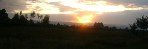 nthusinthula Profile Banner