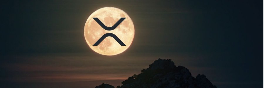 Marydson 🏴‍☠️ banner