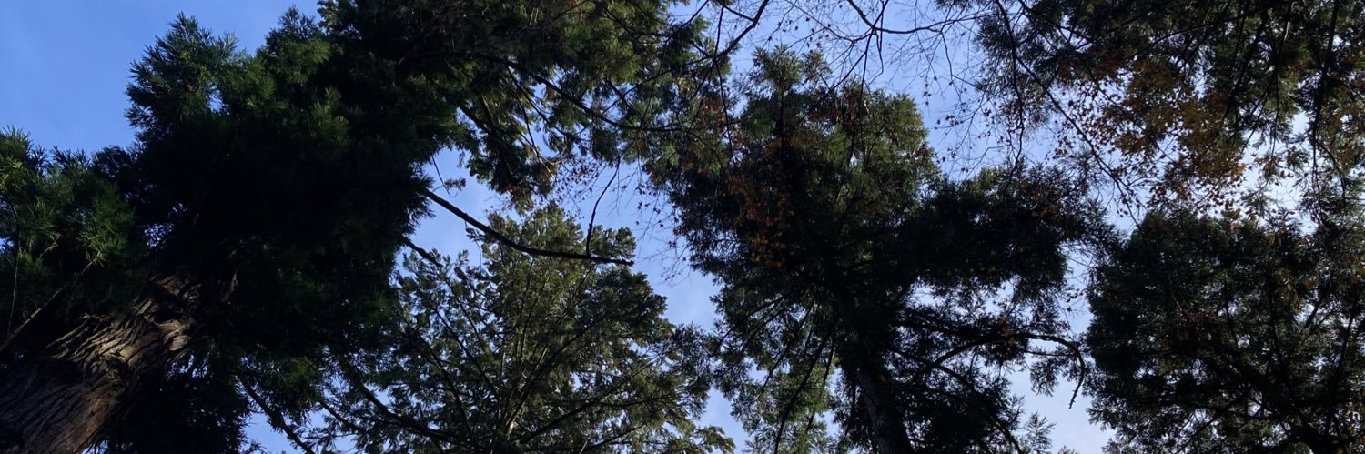 61_deg's profile banner image