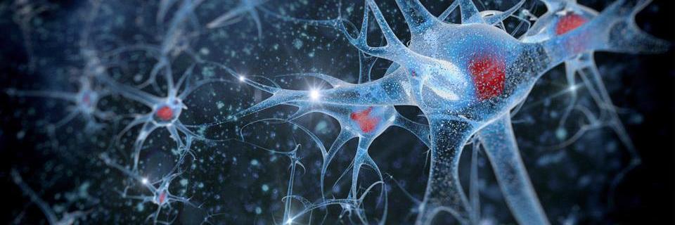 LegacyNeuro's profile banner image