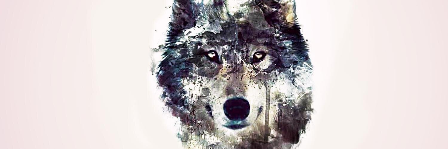 Ally_100's profile banner image