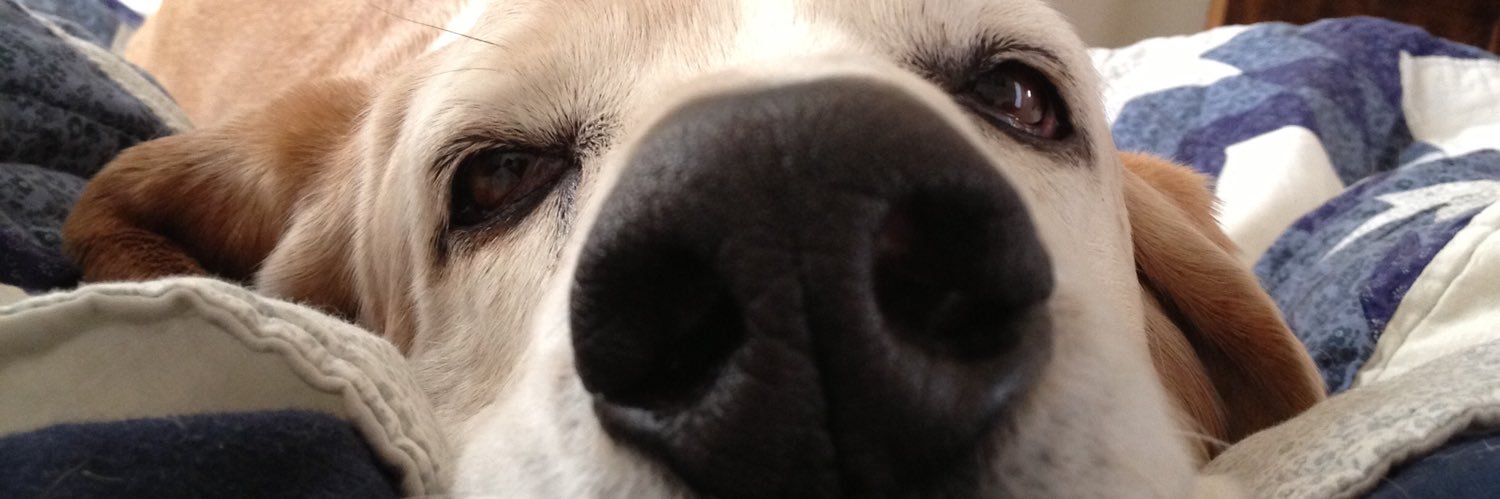 TASTAYY's profile banner image