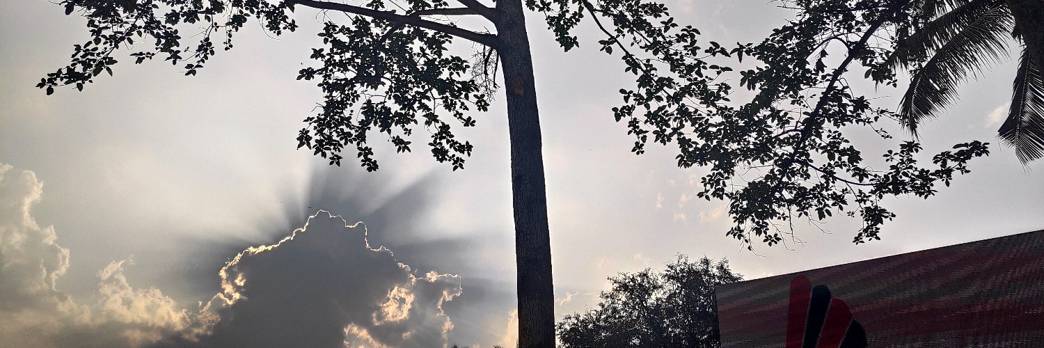 anandriyer's profile banner image