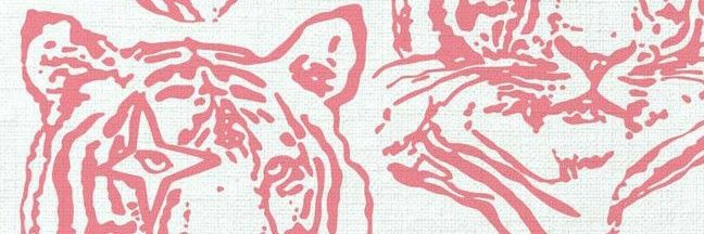 _rooy90's profile banner image