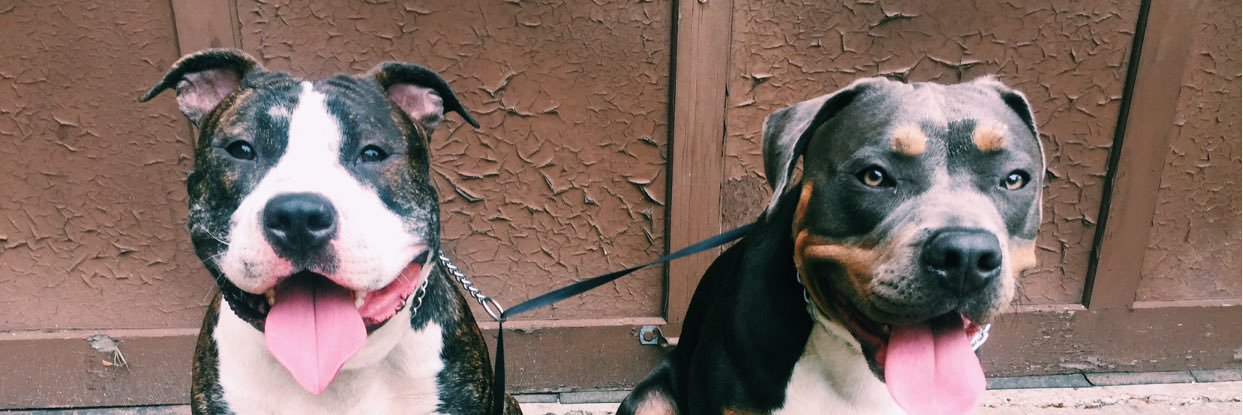 maggieeee_3's profile banner image