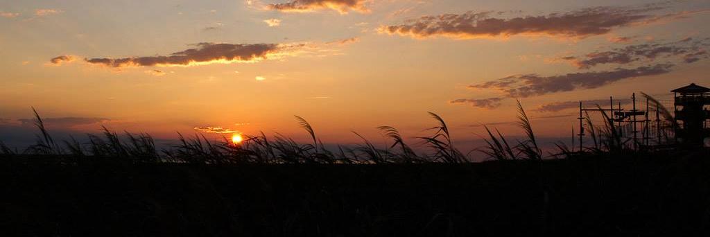 1FPhotography's profile banner image