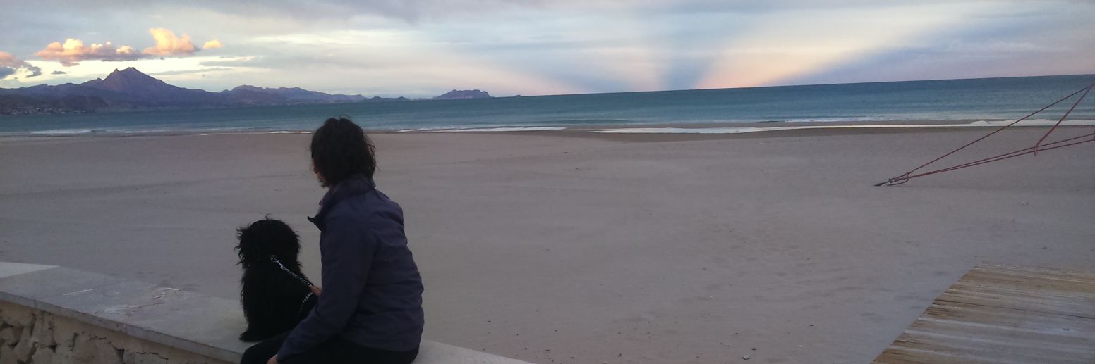 María Francés Aguado banner