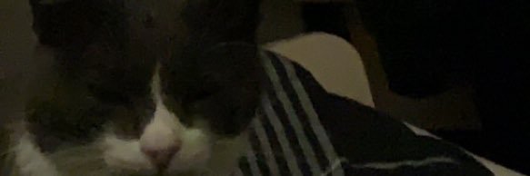 DoiseRaf's profile banner image