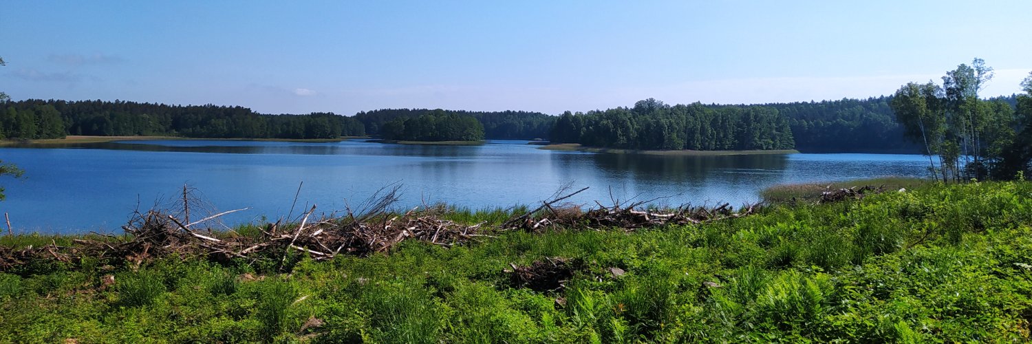 EmigracjaWewnętrzna banner