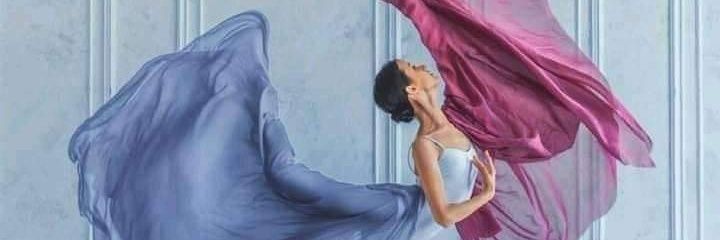 FloreMMiranda's profile banner image