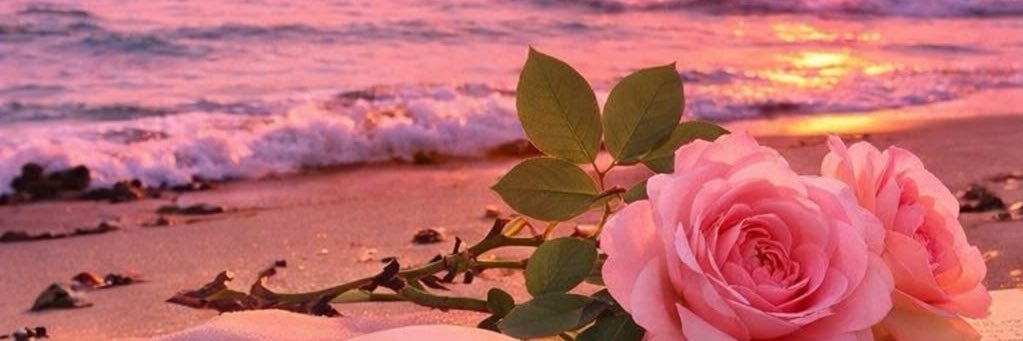 PrincessOFlower's profile banner image