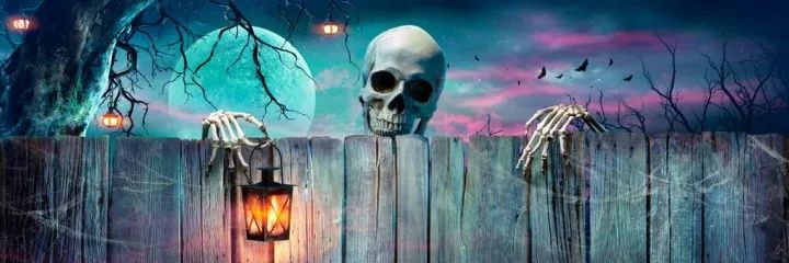 KellyHenneman's profile banner image
