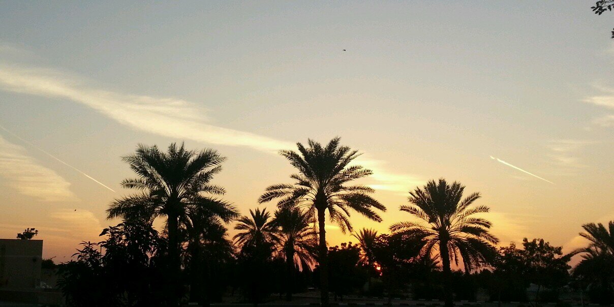 maliha247's profile banner image