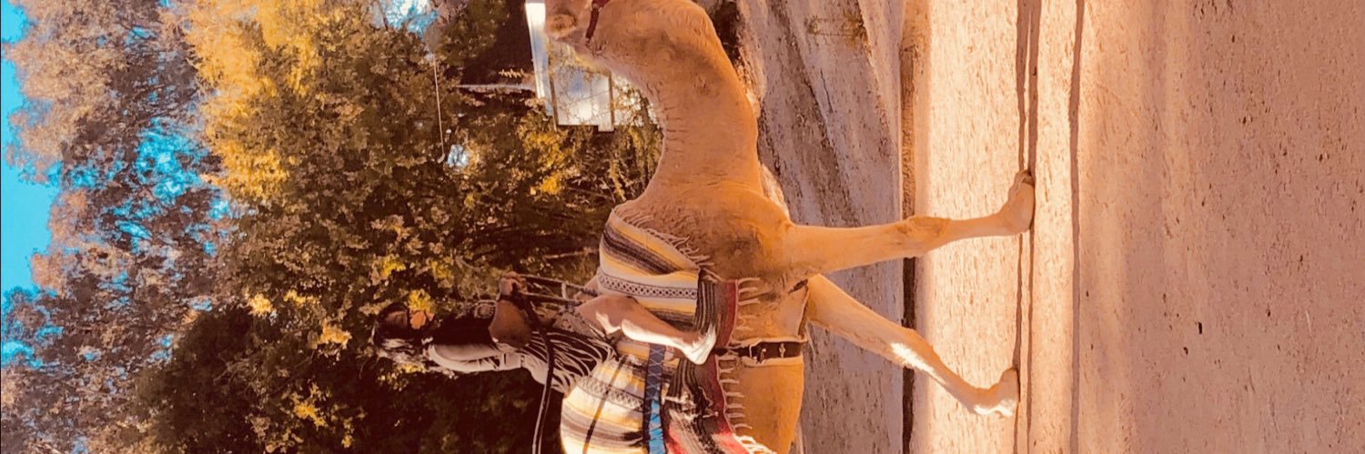 MarisVi1's profile banner image