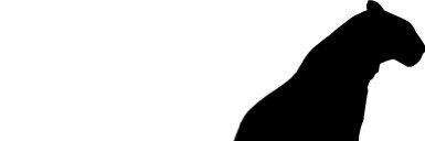 Moonlit_Letter's profile banner image