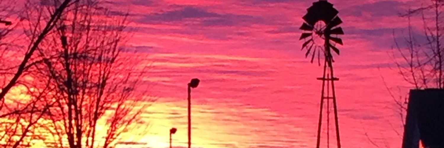 lascherl's profile banner image