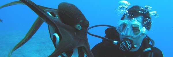 joshuatheard Profile Banner
