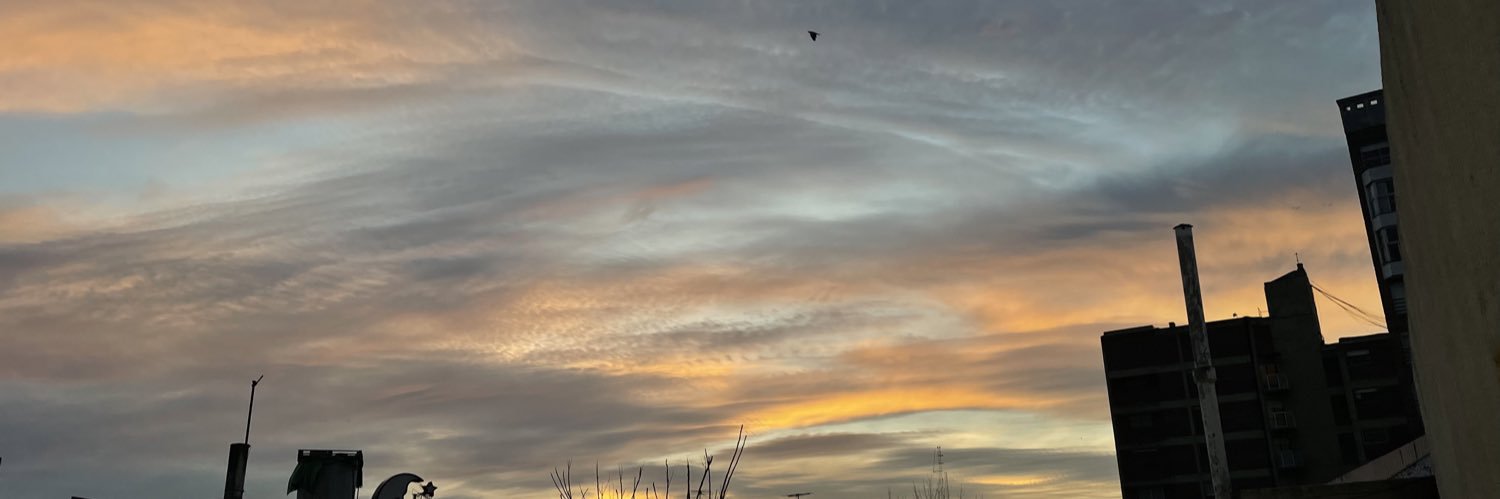 MartinLeii1's profile banner image