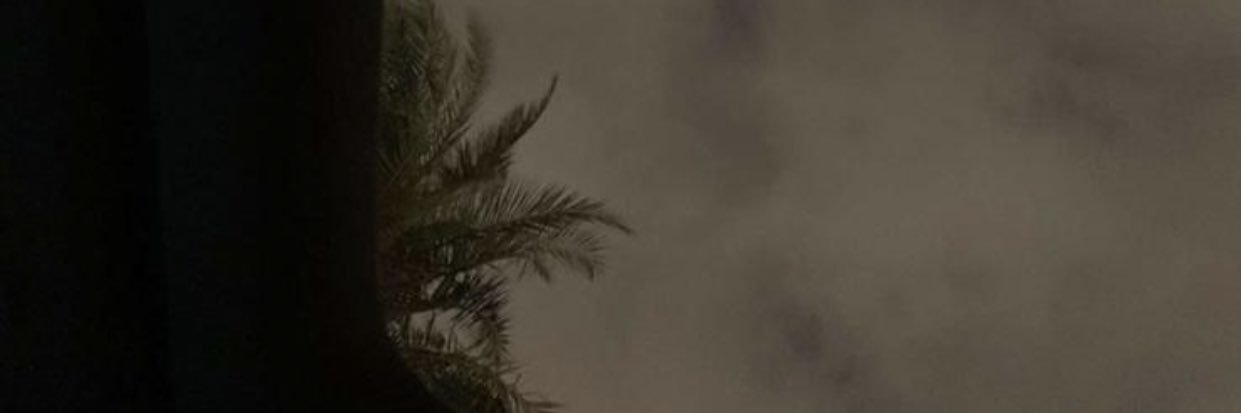 shn_505's profile banner image