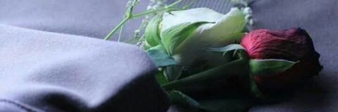 _0manoool's profile banner image