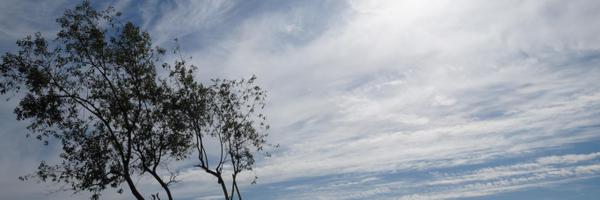 Shiv Profile Banner