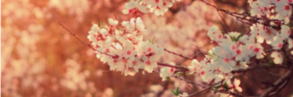 MarvelousWords Profile Banner