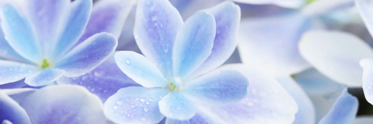ayumixchi's profile banner image