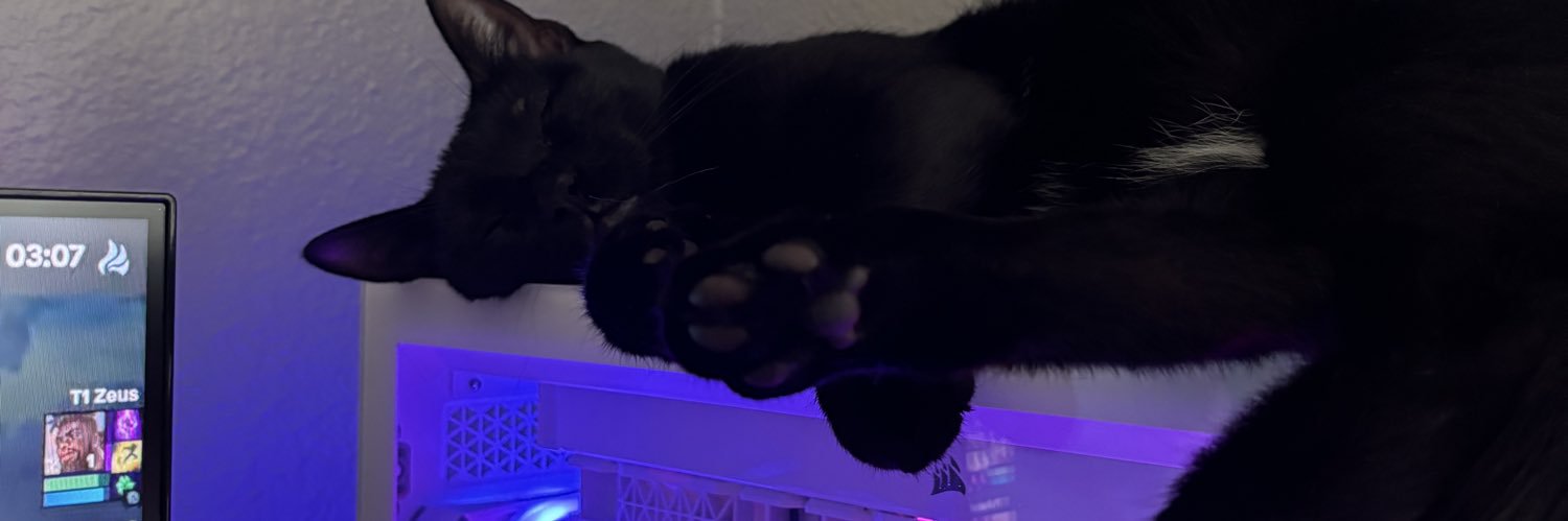 lillianbaylor's profile banner image