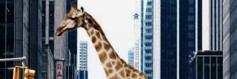 bee_cheree's profile banner image
