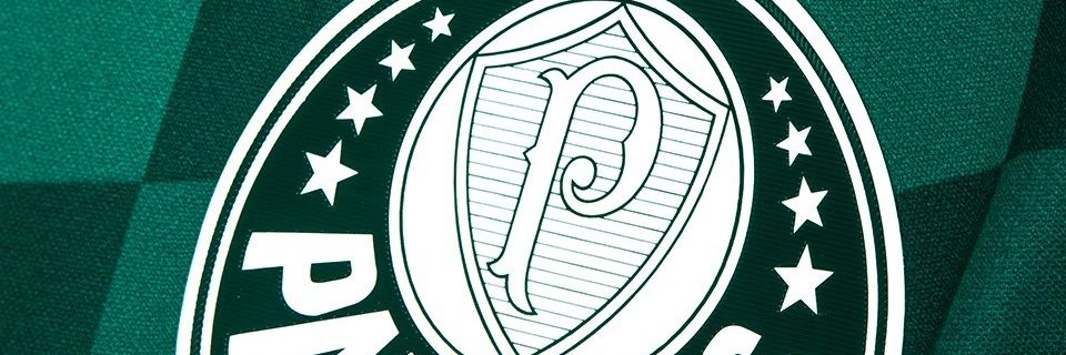 evandroverdy's profile banner image