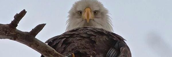 WTonyliu11's profile banner image