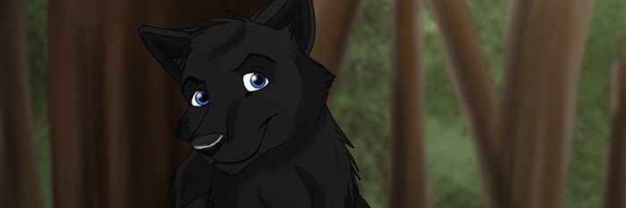Jamessilverfang's profile banner image