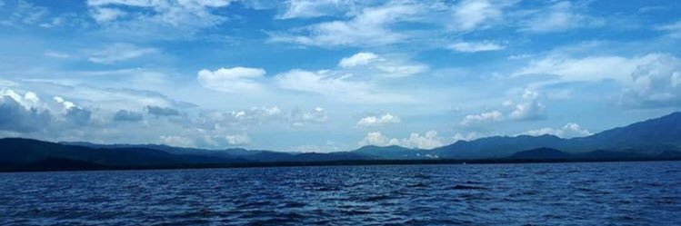 rockalva77's profile banner image