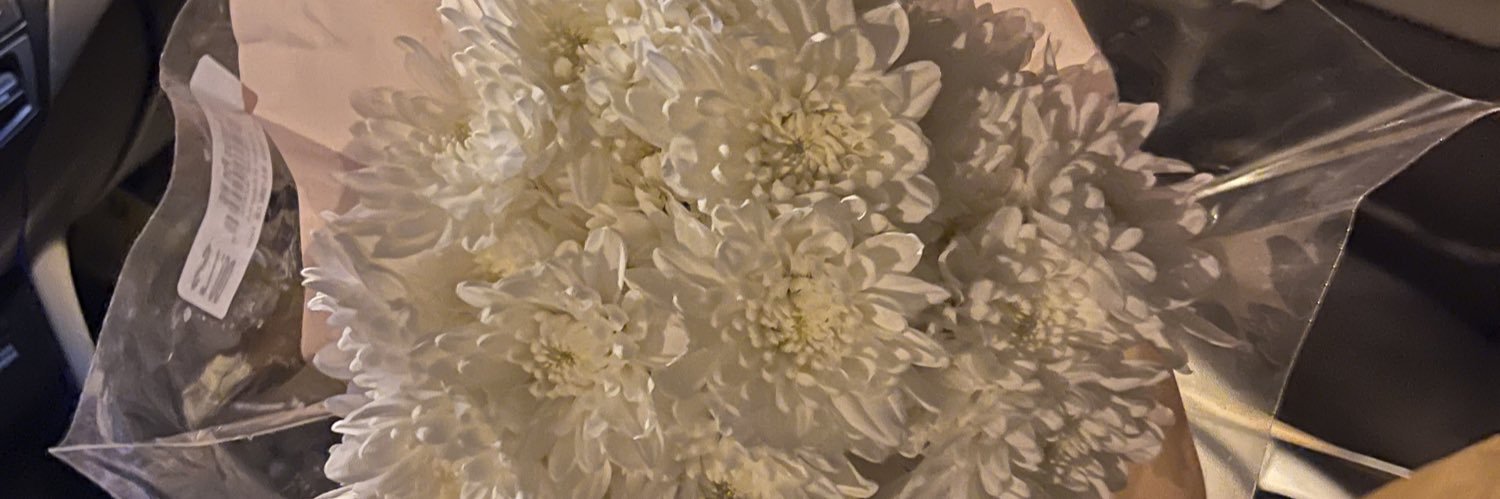allison_ebaugh's profile banner image