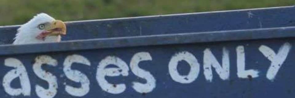 MC_Spacebat's profile banner image