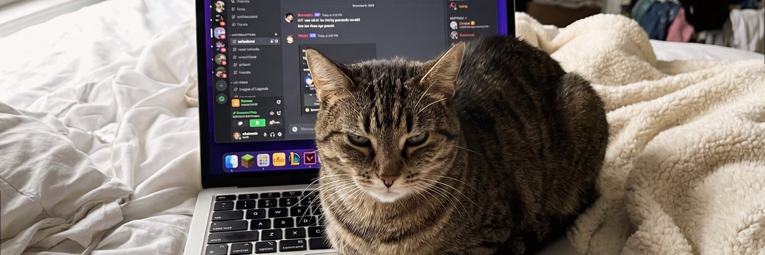 ElaidesRocha's profile banner image