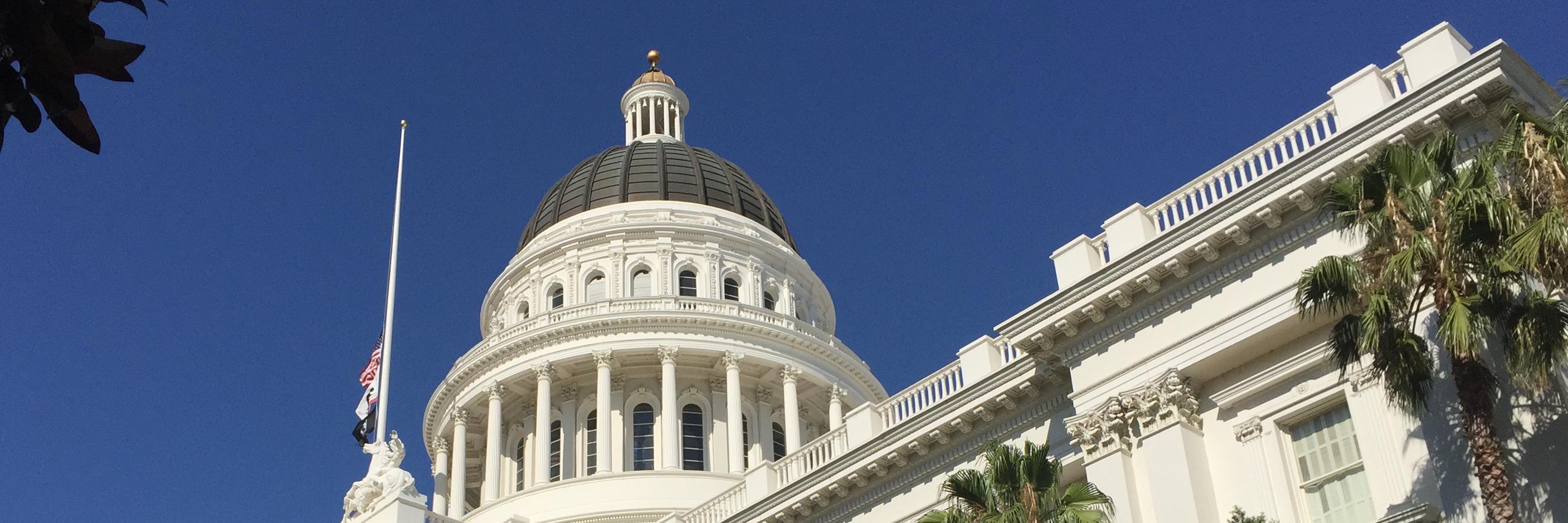 Nancy McFadden banner