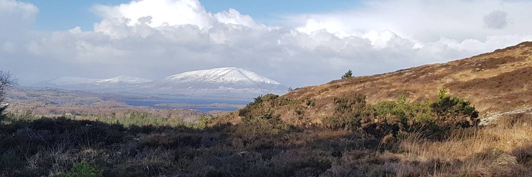 tribundy's profile banner image